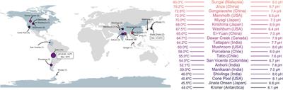 Global phylogenomic novelty of the Cas1 gene from hot spring microbial communities